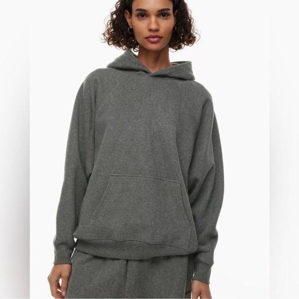 Aritzia Tna Sweatfleece Cozy Fleece Perfect Hoodie Dark Heather Grey Medium